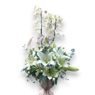 Antik Özel Seri Beyaz