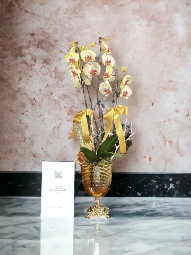 Fotograf-Duzenleme-Klasikleri-scaled-2-scaled-1