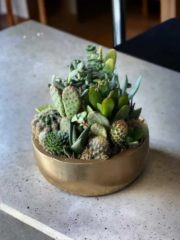 PhotoRoom_20230819_161341-scaled-1