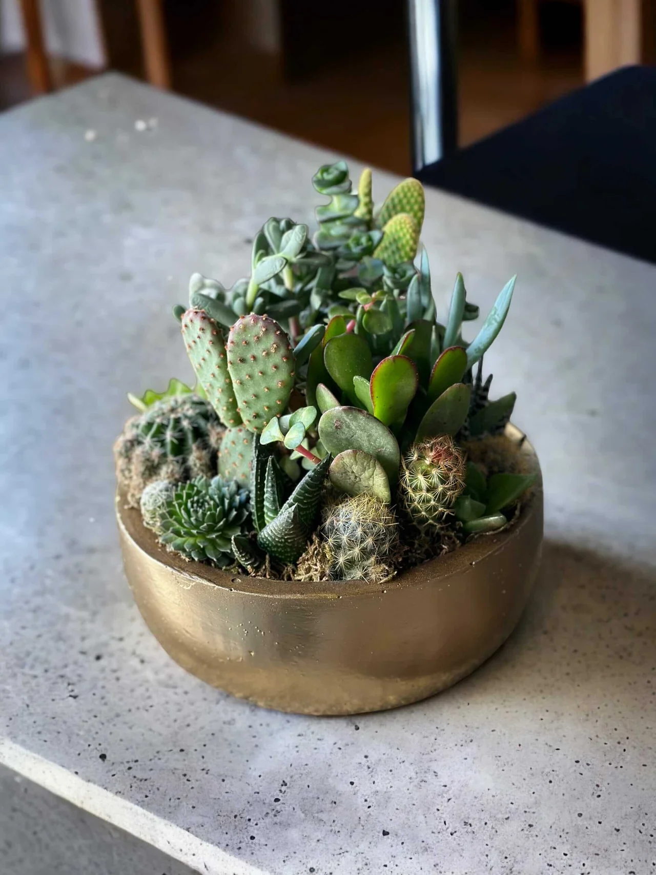 PhotoRoom_20230819_161341-scaled-1