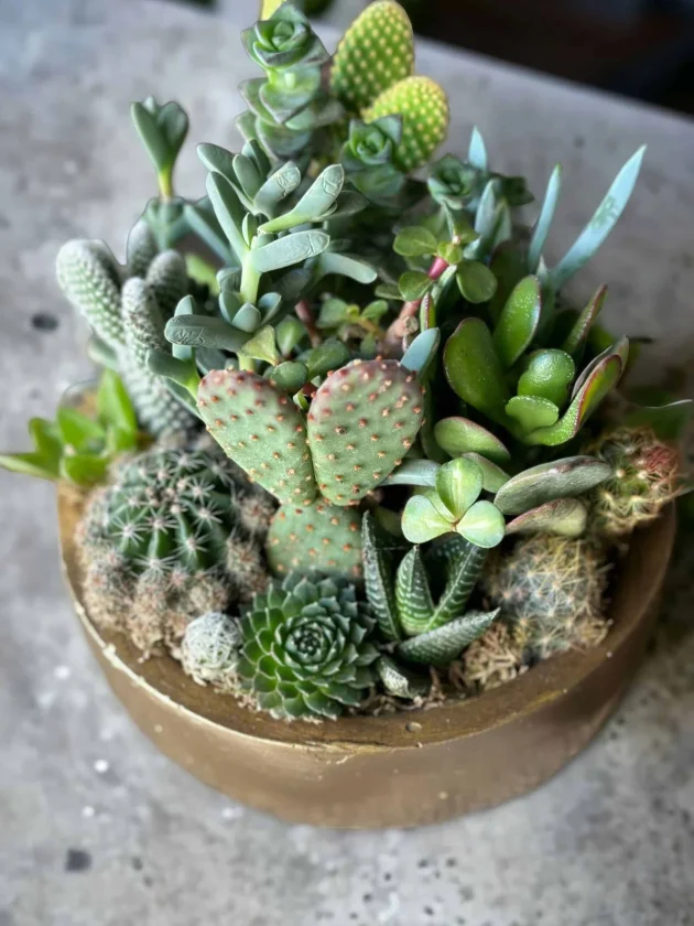 PhotoRoom_20230819_161410-scaled-1