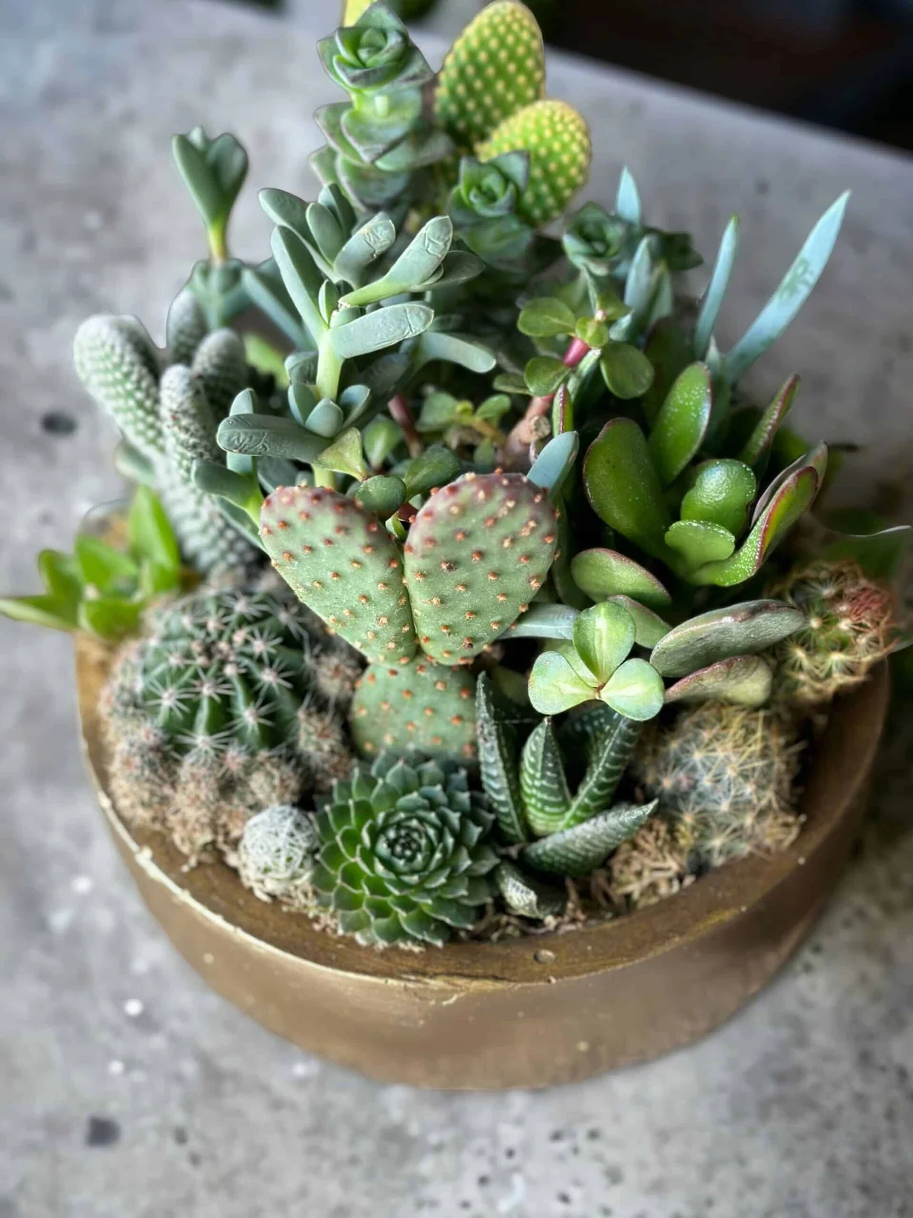 PhotoRoom_20230819_161410-scaled-1