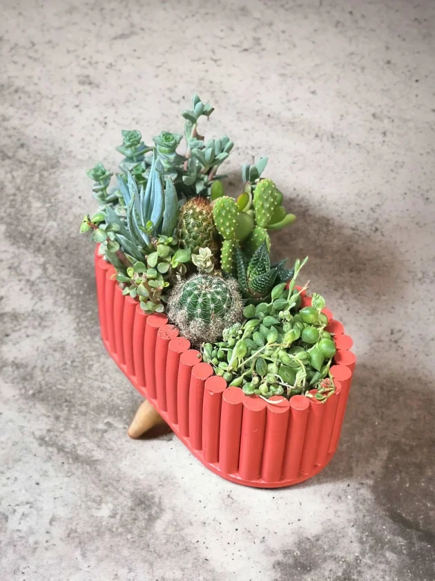 Skulent Aranjmanı Ayaklı Seramik Saksıda 1