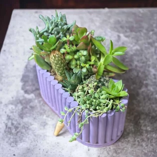 Skulent Aranjmanı Ayaklı Seramik Saksıda