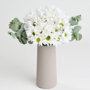 Bej Çizgili Polimer Vazoda Beyaz Papatyalar