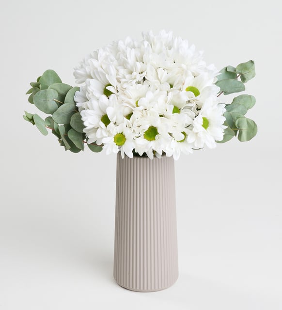 at5241-1-8dcdbb9fc8eede5-934a642f