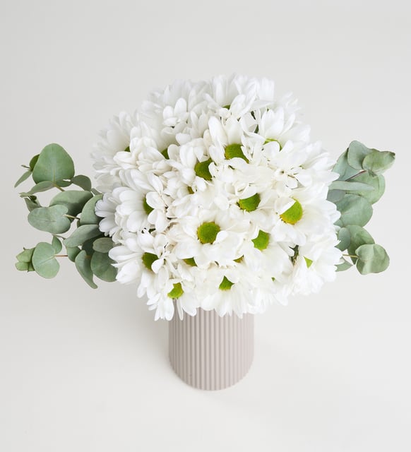 at5241-1-8dcdbba0eaa2a53-55b92857