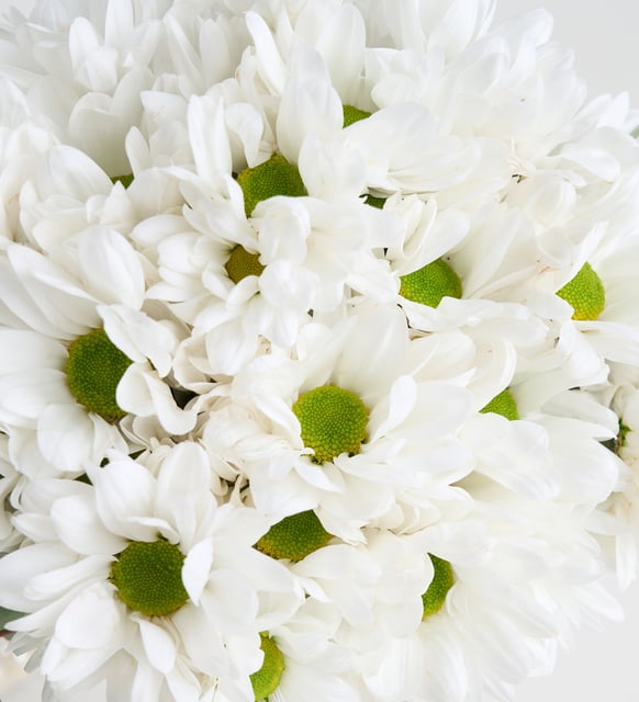 at5241-1-8dcdbba189faf73-be22663a