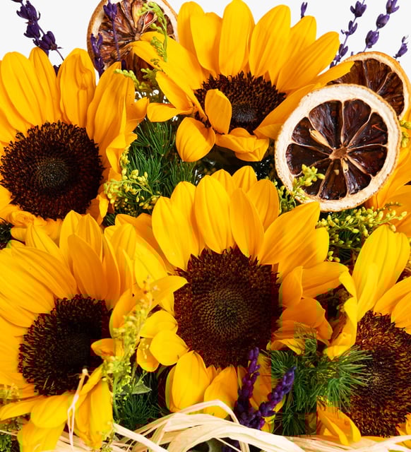 cam-vazoda-6-li-aycicegi-aranjmani-vbt439-4c51bb2f-c911-46c8-aad0-a9c16446f8e5