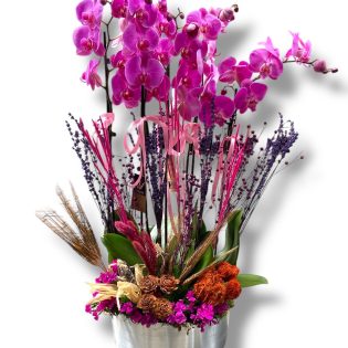 6 Dallı Mor Orkide