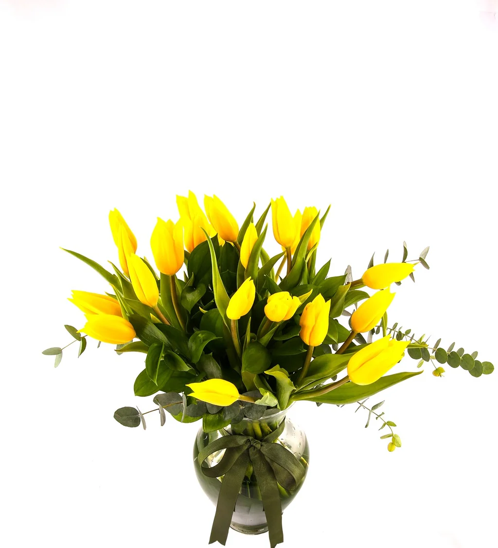 0f365e00-e2f9-4002-9420-5e4374fc8455