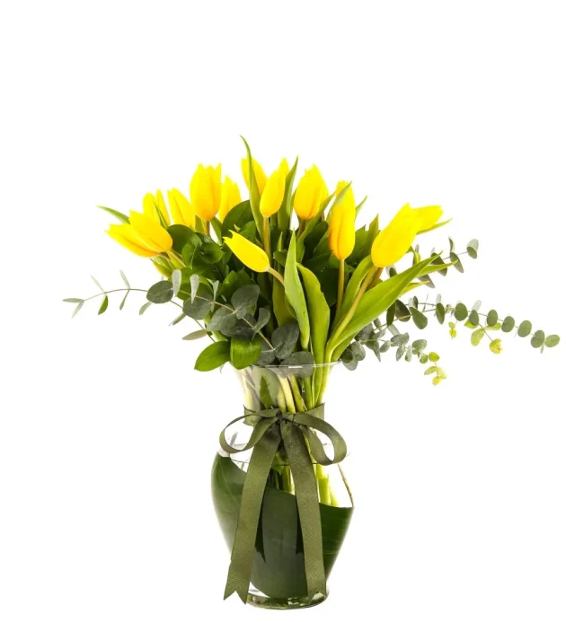 2991611a-ce93-4308-865c-7fc5dc7c052c