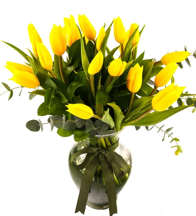 858163c7-6c00-4d01-b0e3-d288f712b008