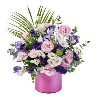 Pink Lisyantus Melody