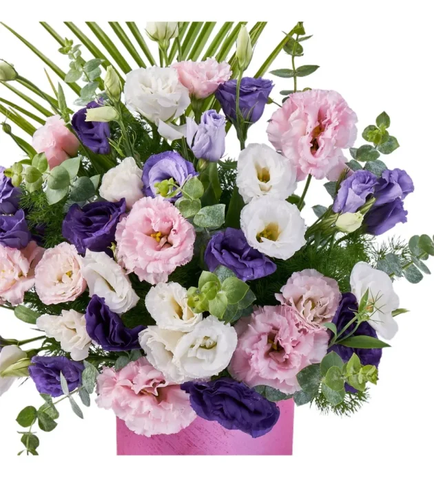 d3631686-fccf-44c8-b5cb-51ef7ad1fe42